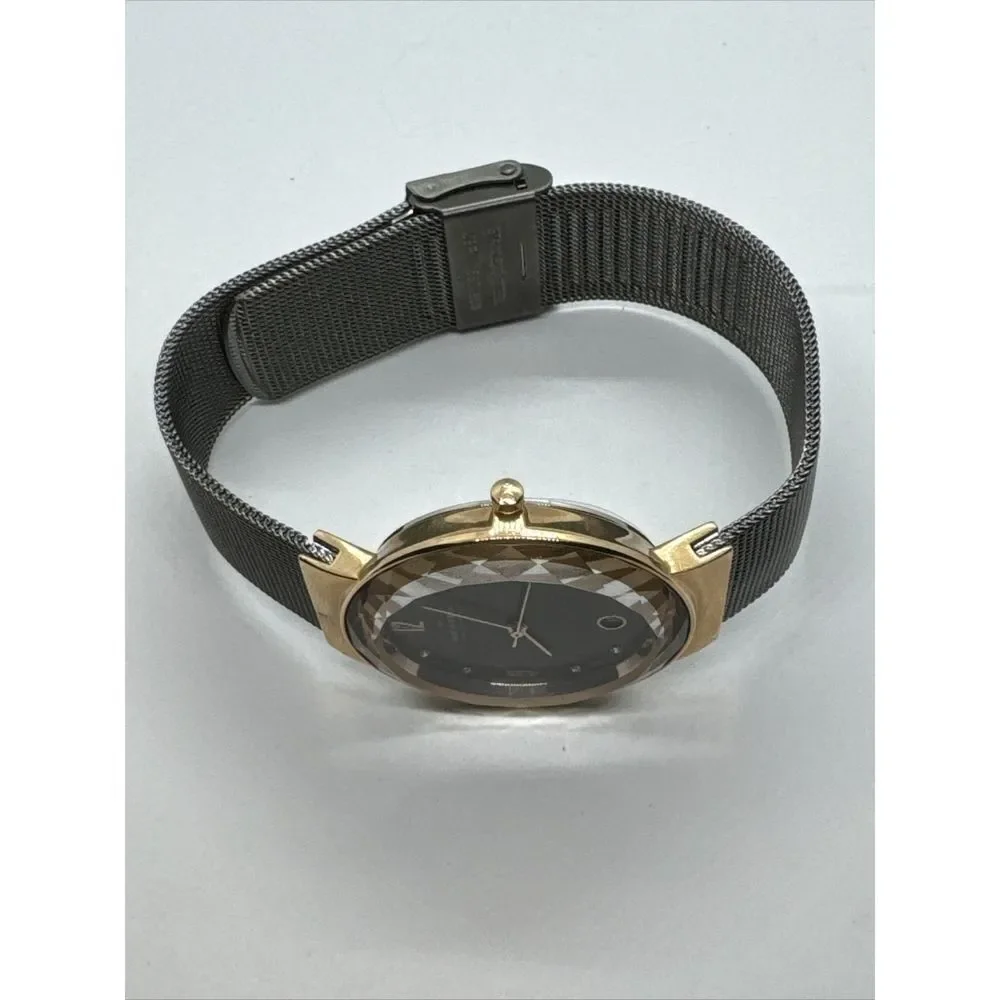 Skagen SKW2120 Women's Gray Stainless Steel Mesh Analog Dial Quartz Watch JNA916